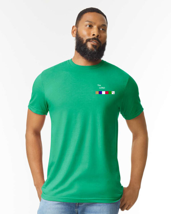 Gildan Softstyle Midweight T-Shirt